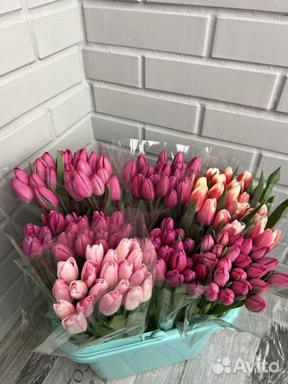 Тюльпаны к 8 марта