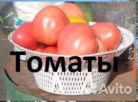 Томаты еда