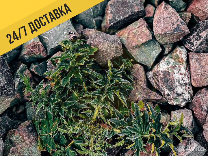 Щебень с доставкой