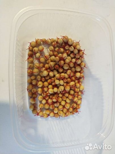 Гороховые шарики