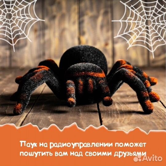 Паук радиоуправляемый «Тарантул»