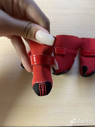 Ботинки для маленьких собак