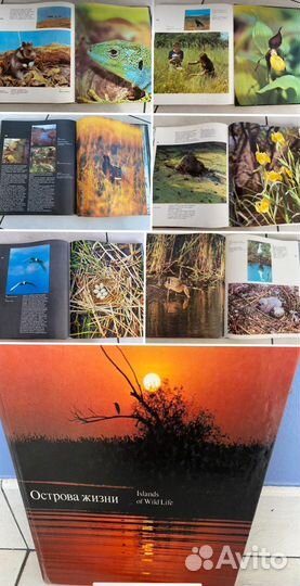 Ленин,Н.Павлова редкие книги-фотоальбомы