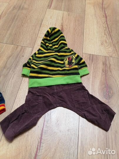 Одежда для собак мелких пород