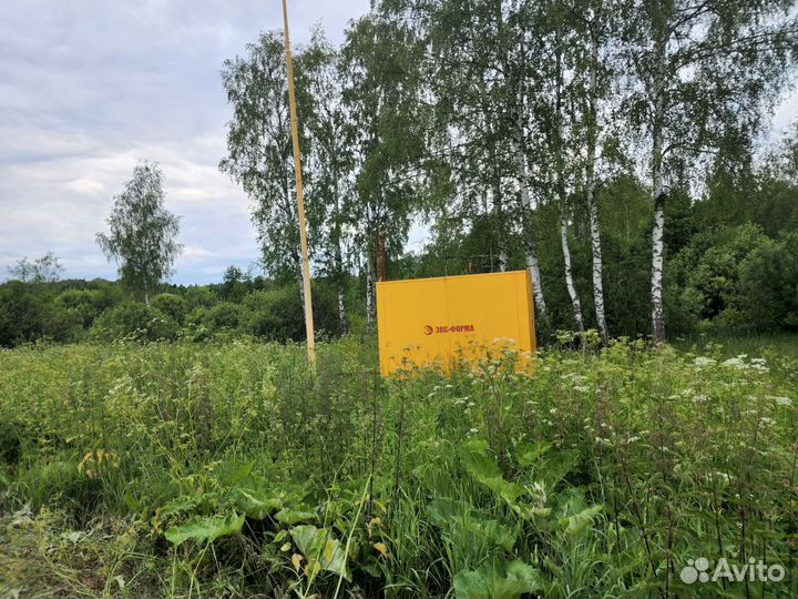 Птичник, выращивание птиц