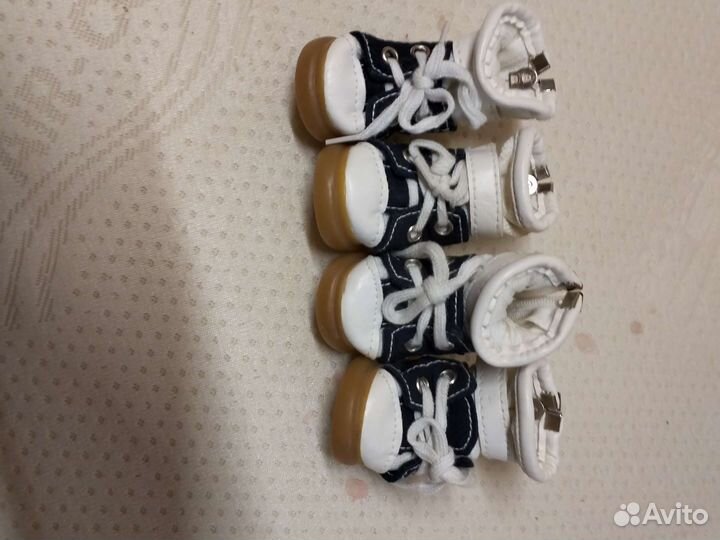 Кеды для собак, 3-его размера