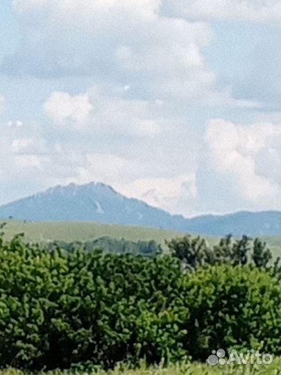 Продается пасека