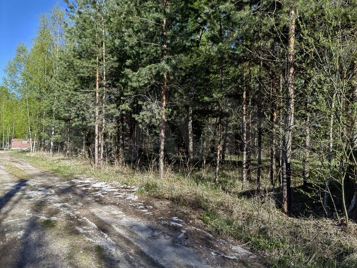 Участок 10 сот. (ИЖС)