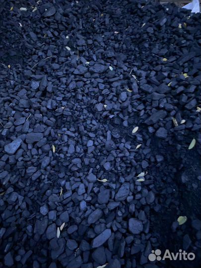 Сспк уголь для вашего дома