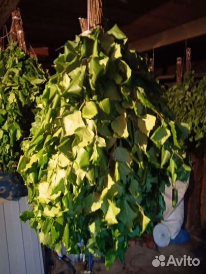 Веники для бани