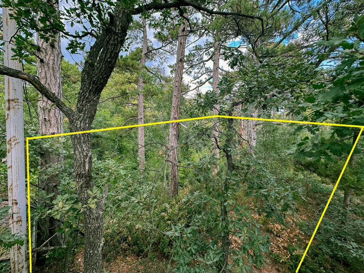 Участок 15 сот. (ИЖС)