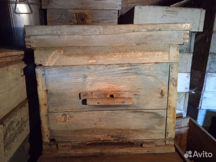 Пчелиные улья