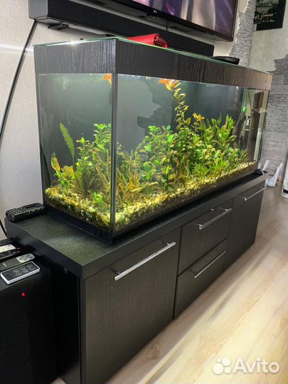 Аквариум и тумбочка