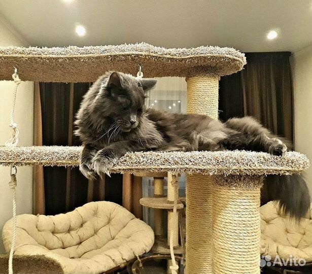 Комплекс-домик-когтеточка