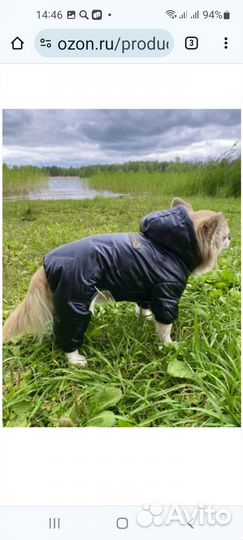 Куртка для собак мелких пород