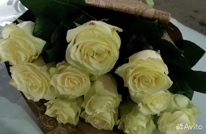 Букет цветов. Розы