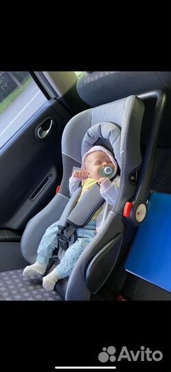 Автолюлька teddy bear