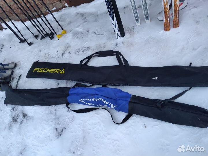 Беговые лыжи