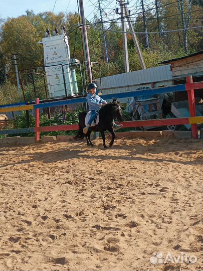 Постой для лошадей