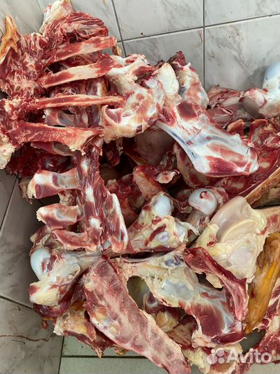 Кости говядина для собак