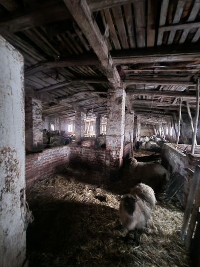 Участок 1,55 га (СНТ, ДНП)