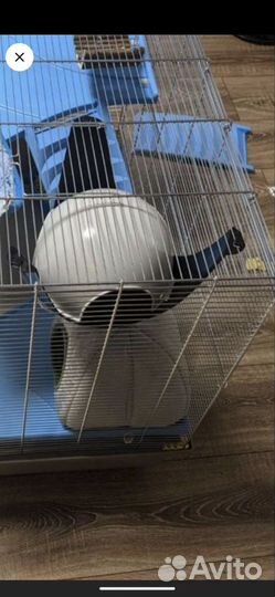 Домик для грызунов savic