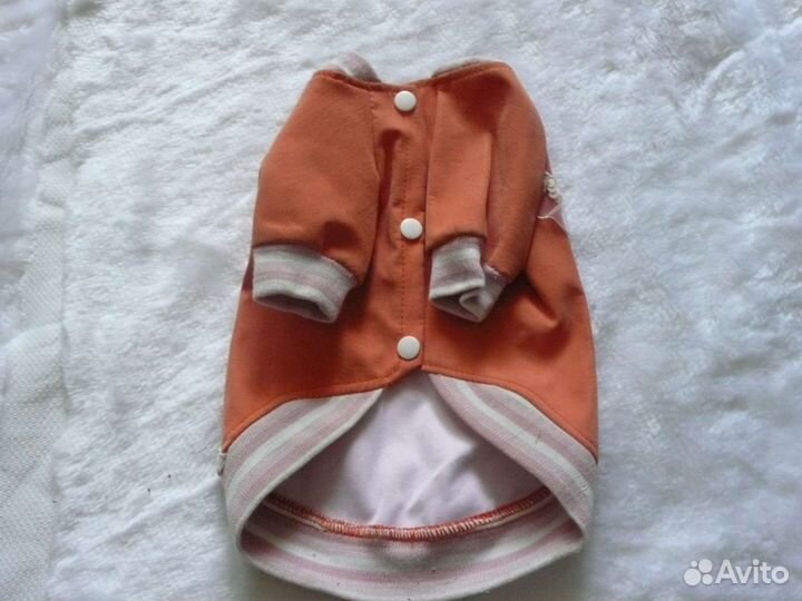 Одежда для собак