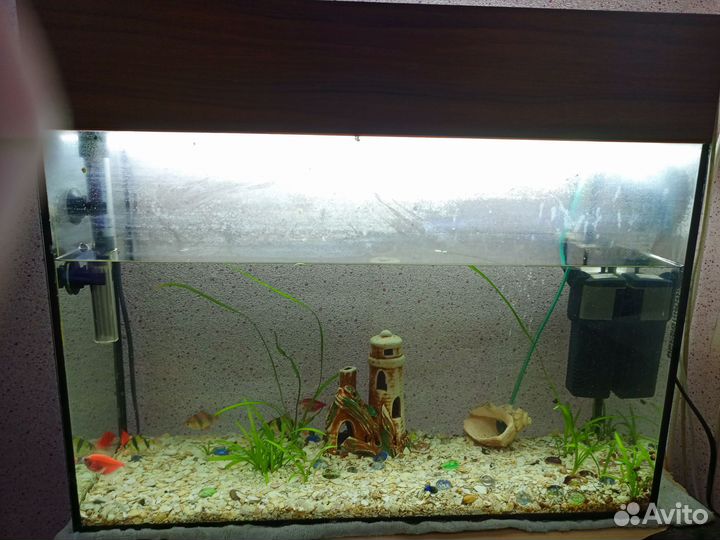 Аквариум
