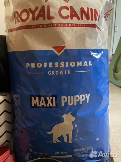 Royal canin maxi puppy