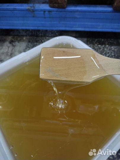 Мёд липовый свежий Опт