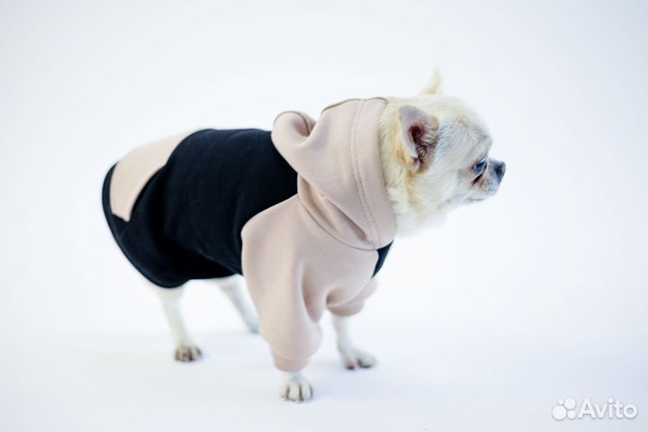 Кофта для собак