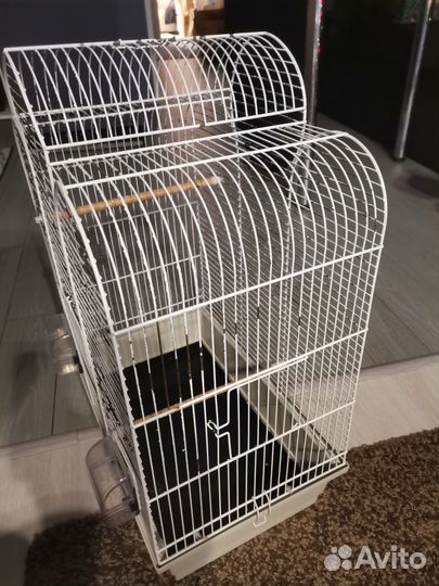 Клетка для средних попугаев