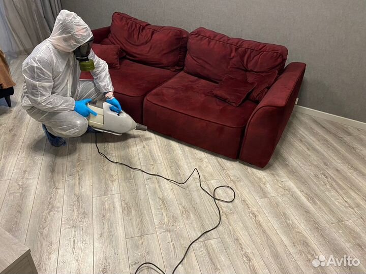 Уничтожение клопов, травить тараканов. Дезинфекция