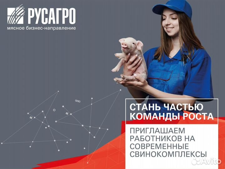 Работник современного свиноводческого комплекса