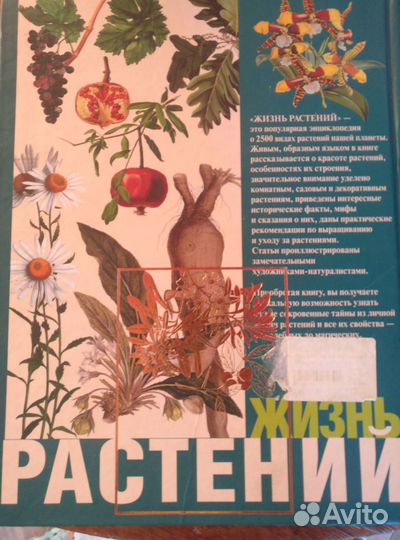 Жизнь растений Альфред Брем