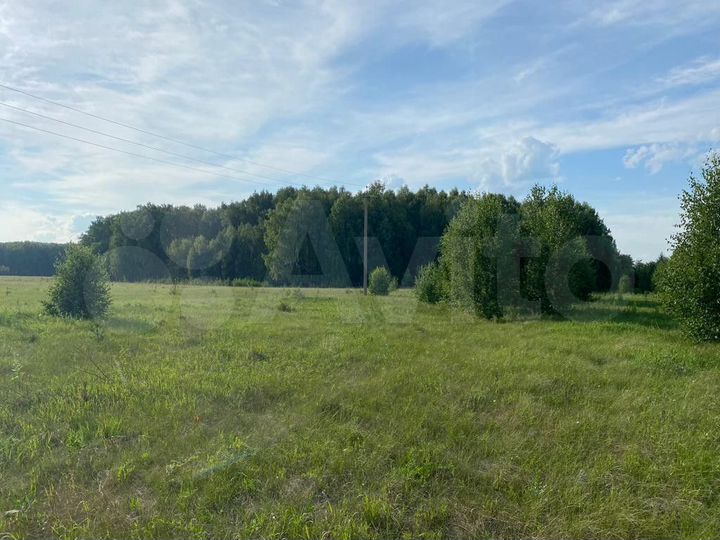 Участок 5 га (СНТ, ДНП)