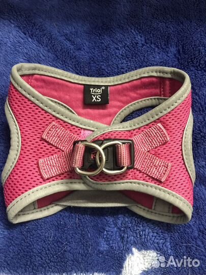 Шлейка для маленькой собаки