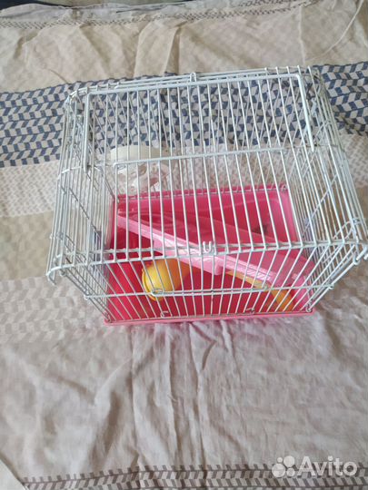 Клетка для грызунов бу
