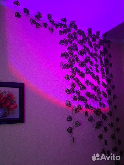 Лиана декоративная