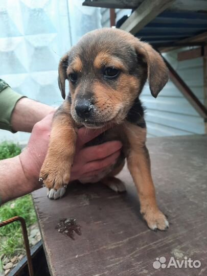 Прелестная активная Манюня