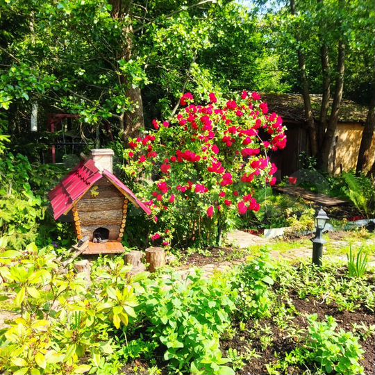 Комната 10 м² в 5-к., 2/2 эт.