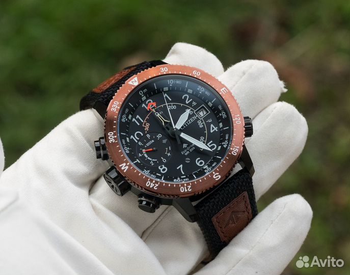 Citizen Promaster Altiсhron BN4049-11E