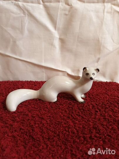 Ласка фарфор