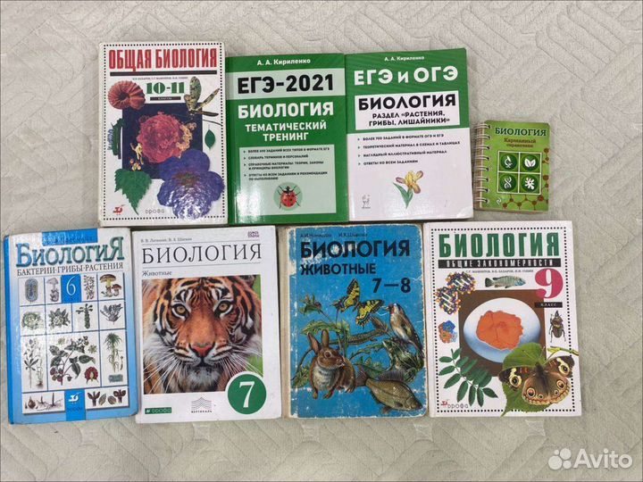 Учебники и учебный материал у Огэ и егэ