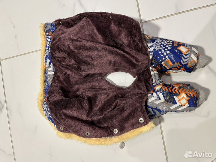 Одежда для собак