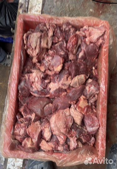 Мясо для собак