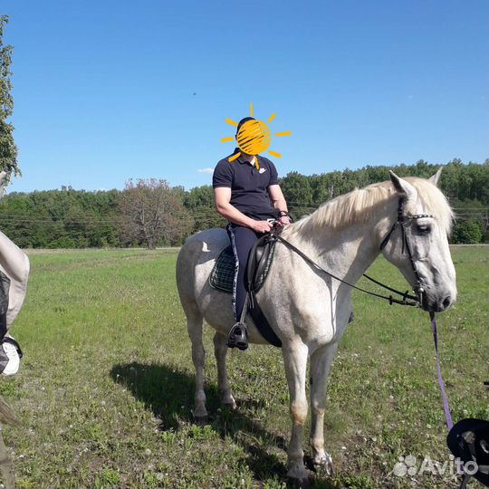 Конные прогулки