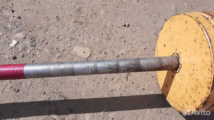 Штанга с блинами