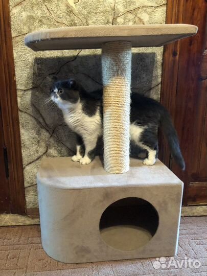 Домик для кошки б/у