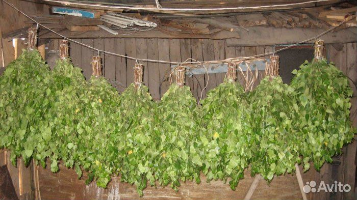 Банные веники